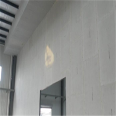 南谯宁波ALC板|EPS加气板隔墙与混凝土整浇联接的实验研讨